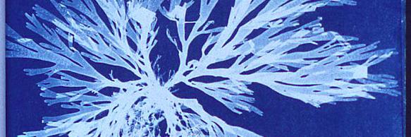 HendrixJenny's profile banner image