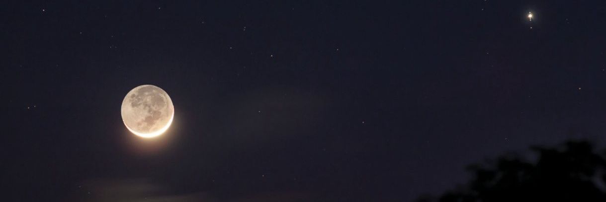 lolyummy's profile banner image