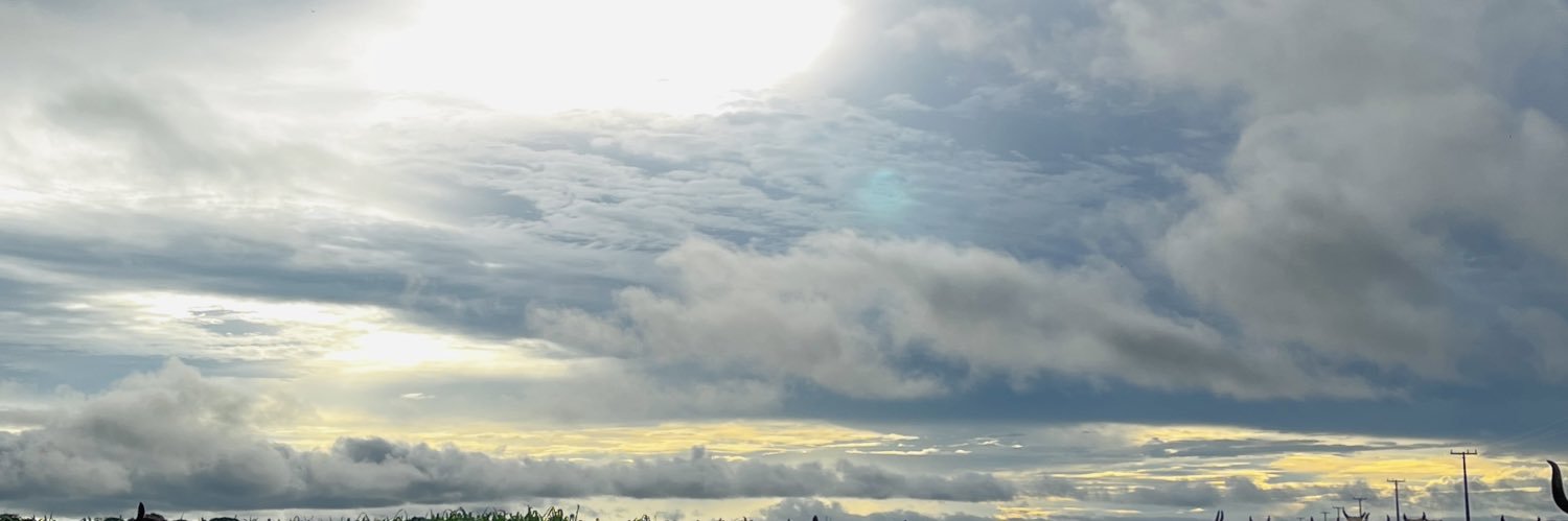 rochapii's profile banner image