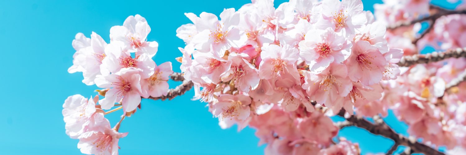 Joanne 🌸 🦋Stay strong🦋 banner