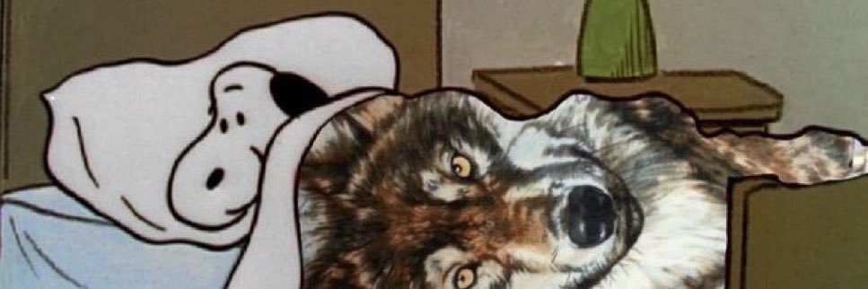 jxygee's profile banner image