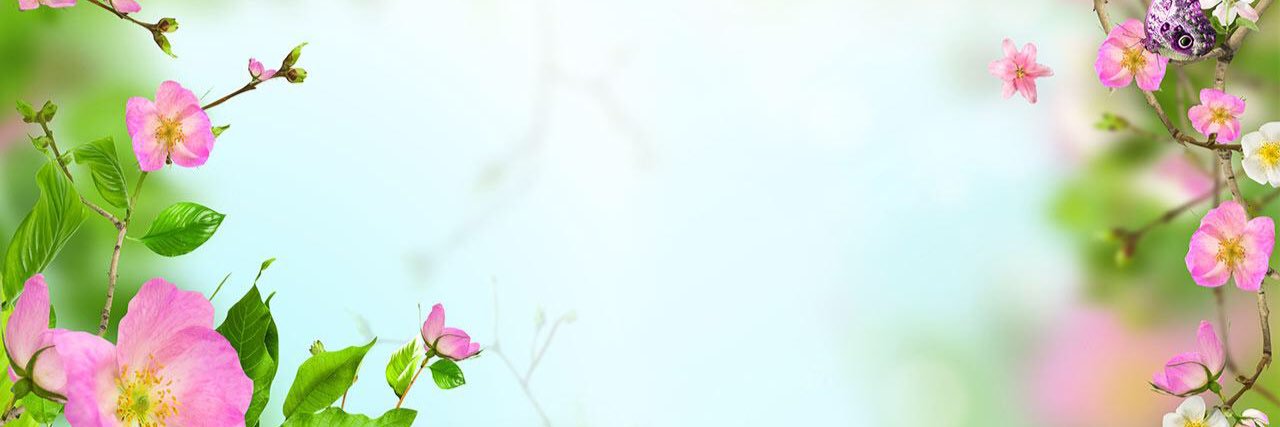 LexyLove95's profile banner image