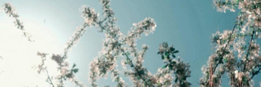 ricreaty's profile banner image