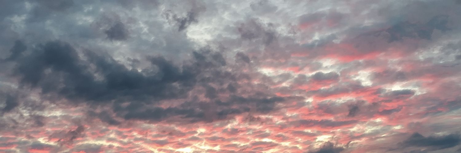 Desidder's profile banner image