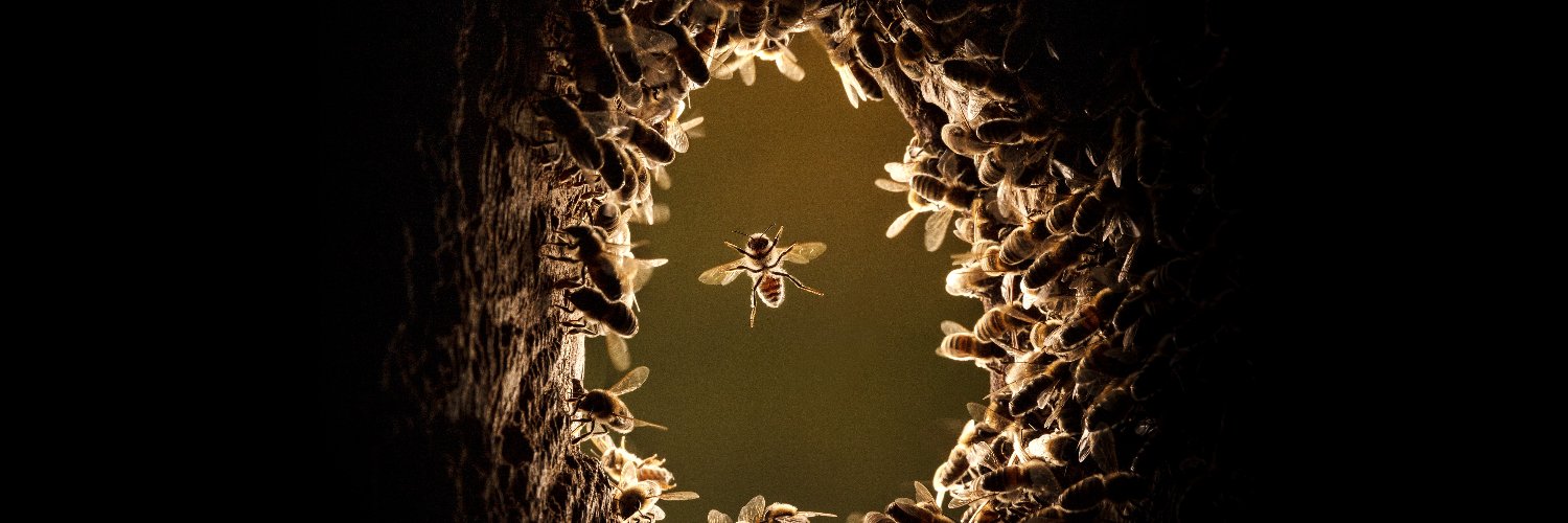 The World Bee Project CIC banner