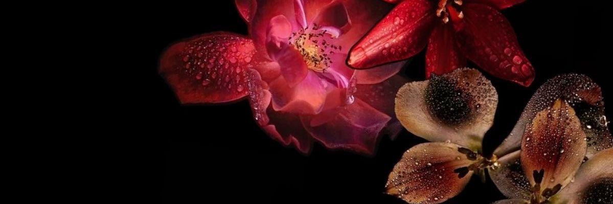 1of1starboy's profile banner image