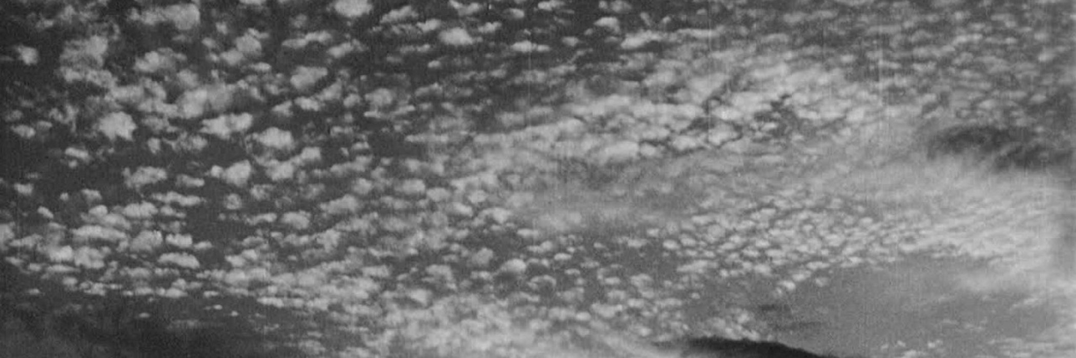 CPtrs_'s profile banner image