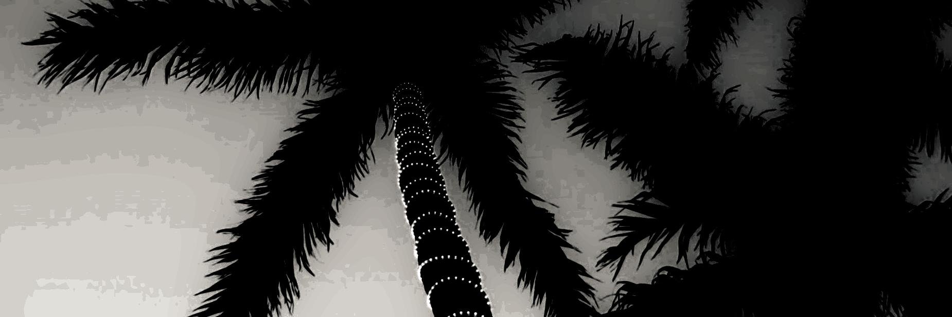 dari_dark's profile banner image