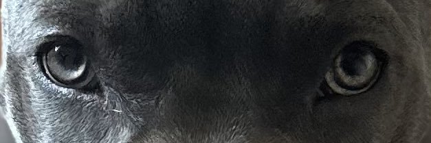 Max_Carnage's profile banner image
