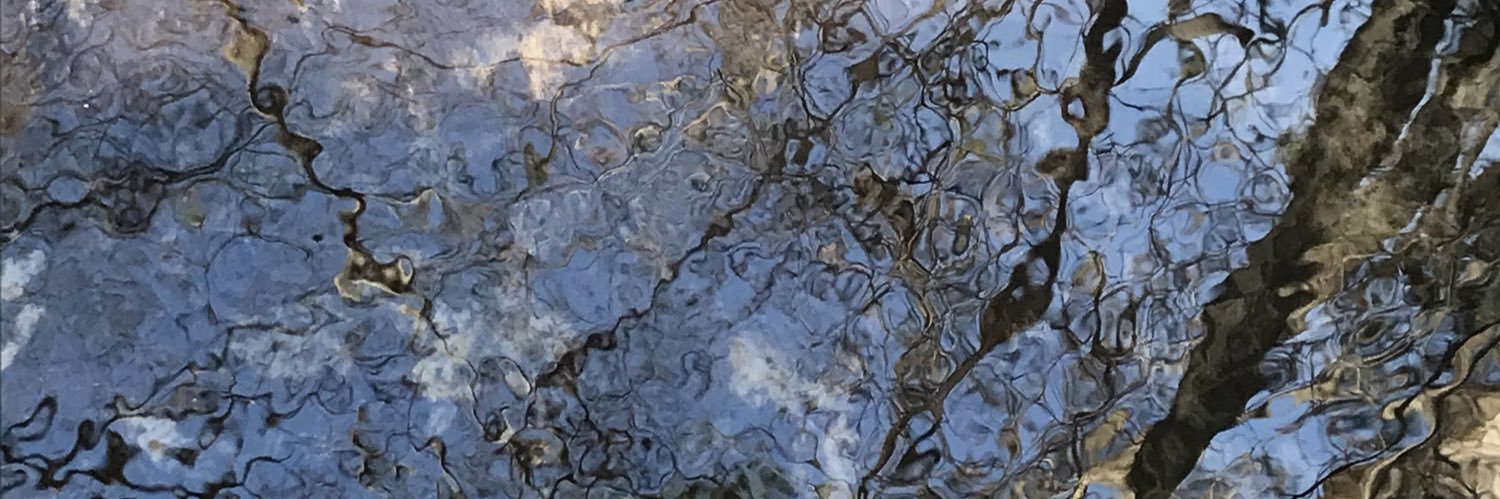 Larissa Danowitz banner