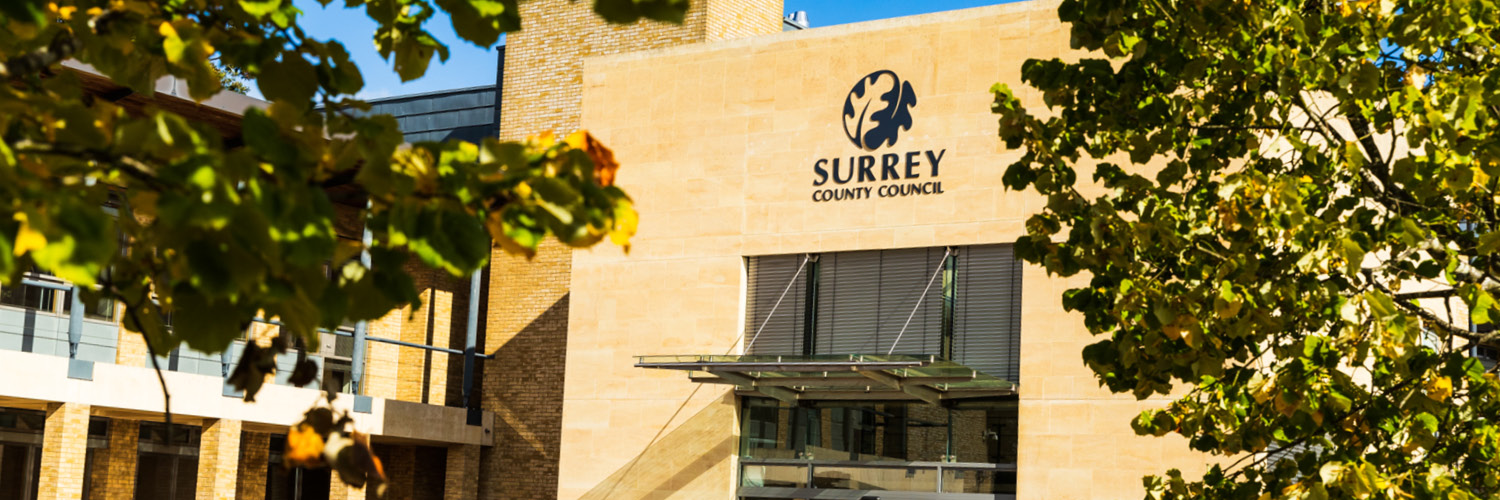 Surrey Democratic Services banner