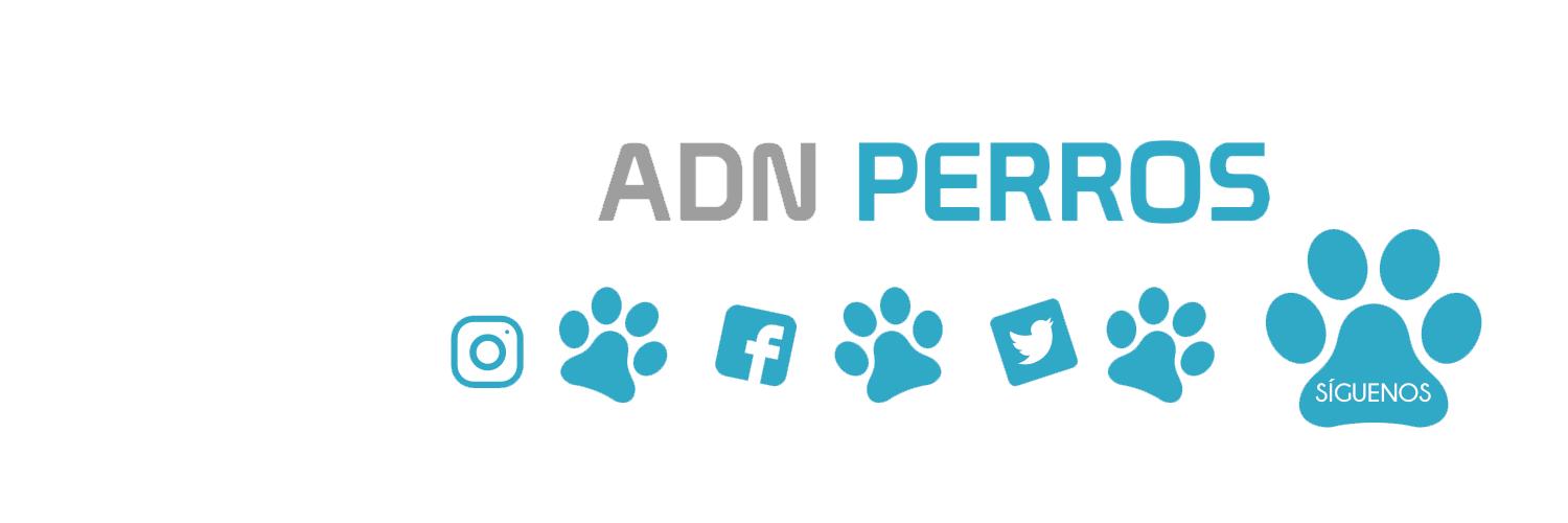 AdnPerros's profile banner image
