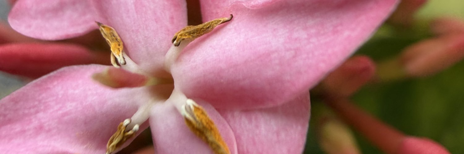 Power • Money • AI banner