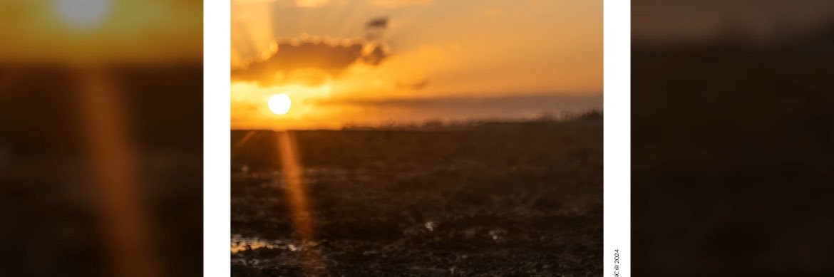 Alexenn banner