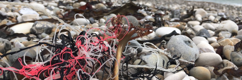 Microplastic_'s profile banner image
