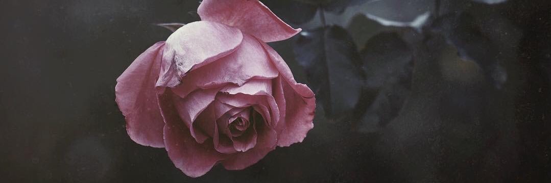 _karramell_'s profile banner image