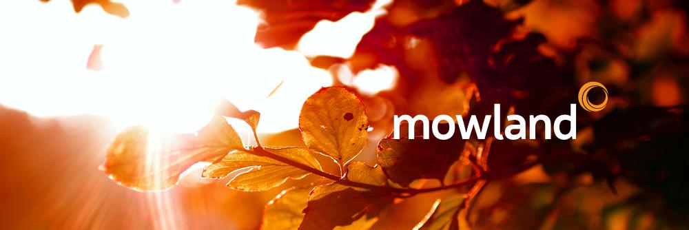mowlandltd's profile banner image
