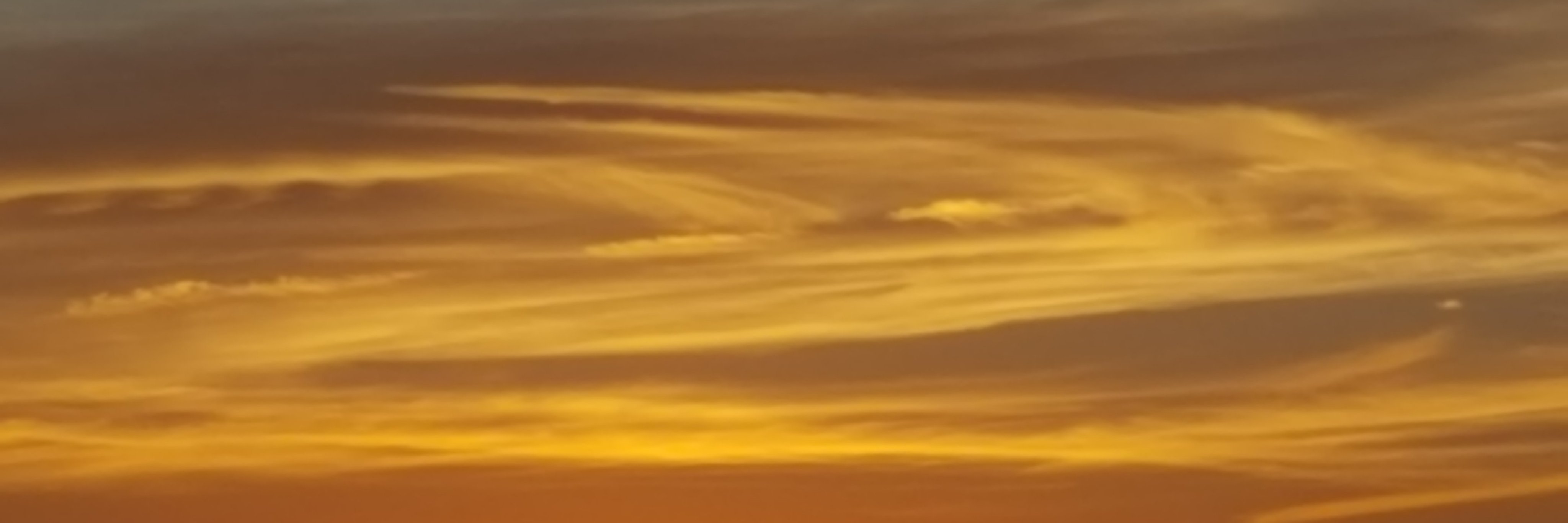 GizzyJSFCR's profile banner image