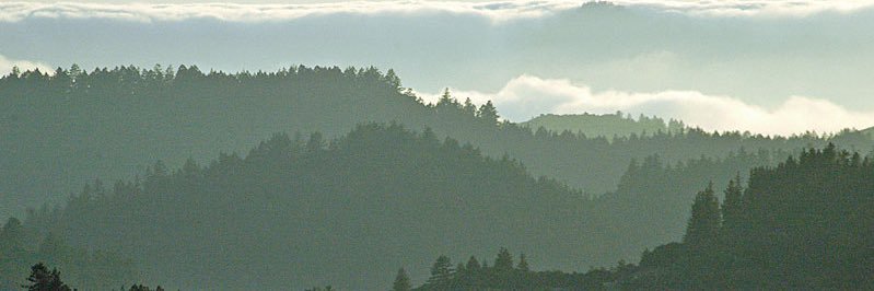 Mr.Fernando Carrillo banner