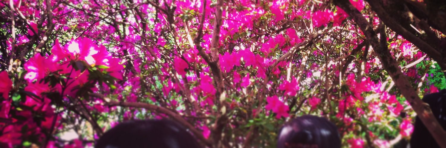 n_uoh's profile banner image
