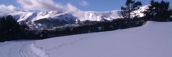 jlprat Profile Banner