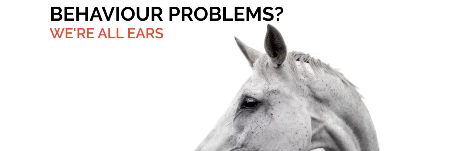 Horse_Behaviour's profile banner image