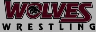 DMHSwrestling's profile banner image