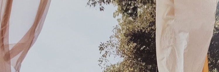 seuli_pew's profile banner image