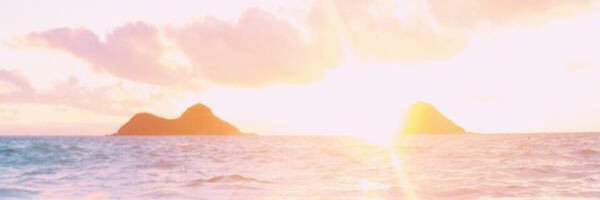SandyMontoya1's profile banner image