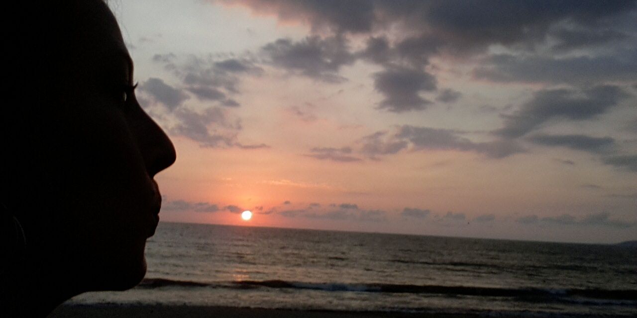 jellenolson's profile banner image