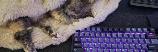 itselva7 Profile Banner