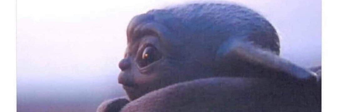 DubSmash777's profile banner image