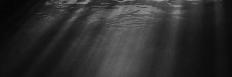 M. banner