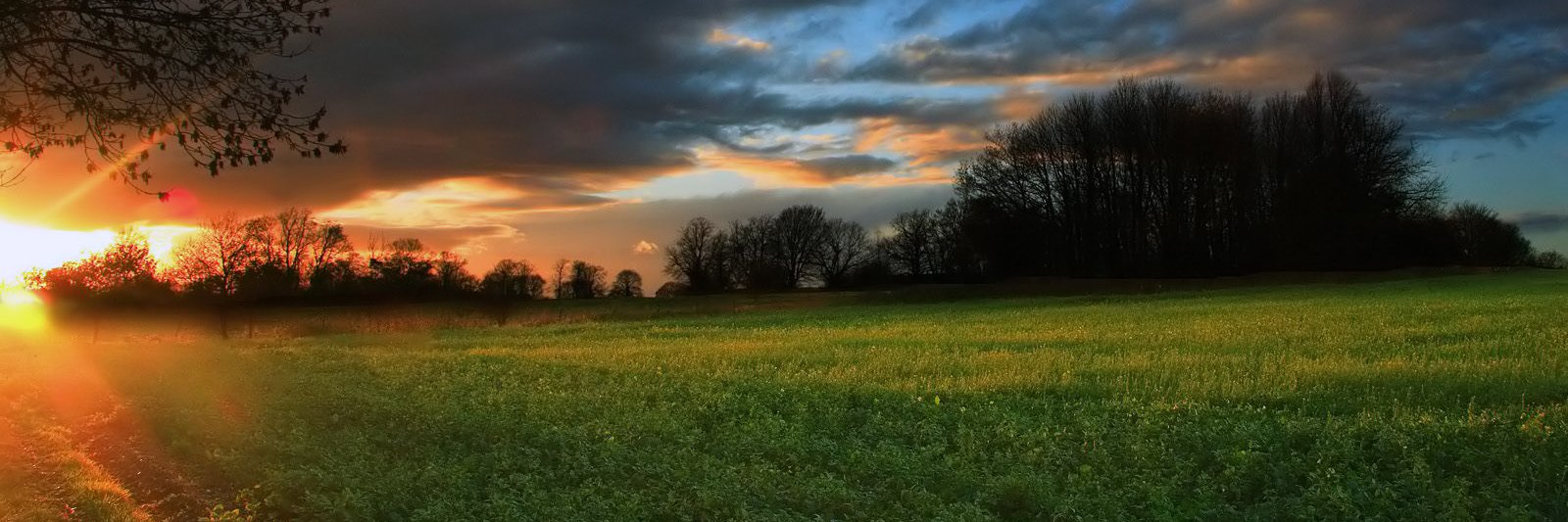 gitonga411's profile banner image