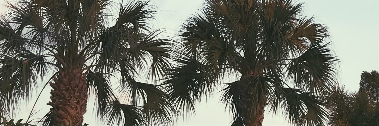 meghandiane banner