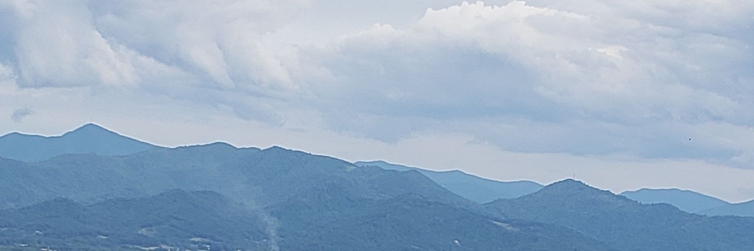 Greta Fletcher banner