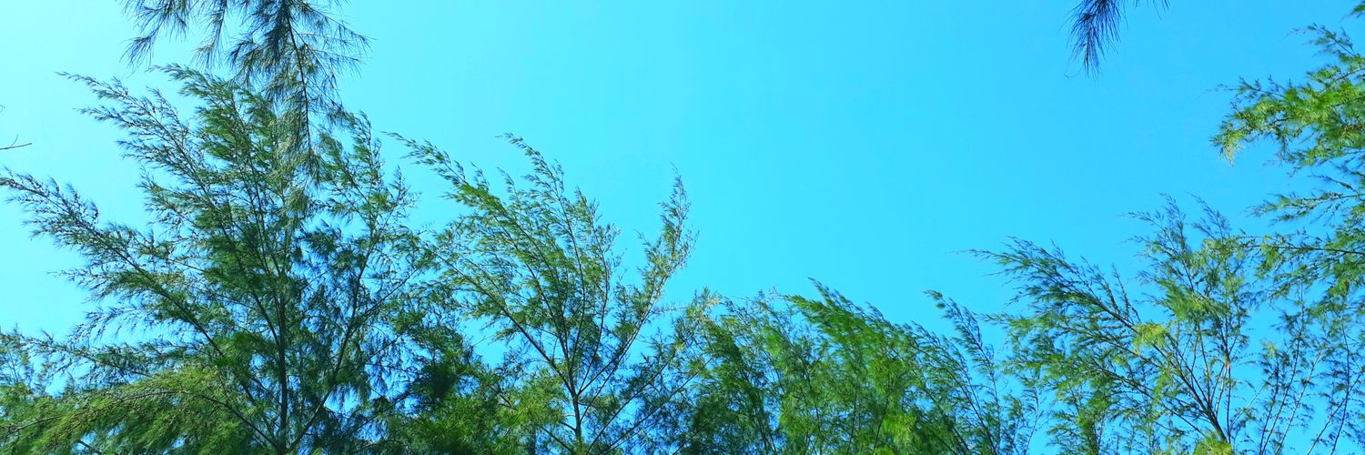 ichaelvadira's profile banner image