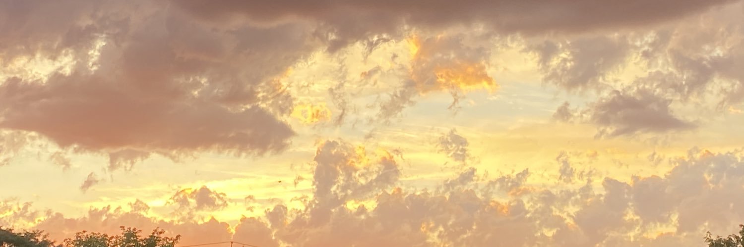inesbartula's profile banner image