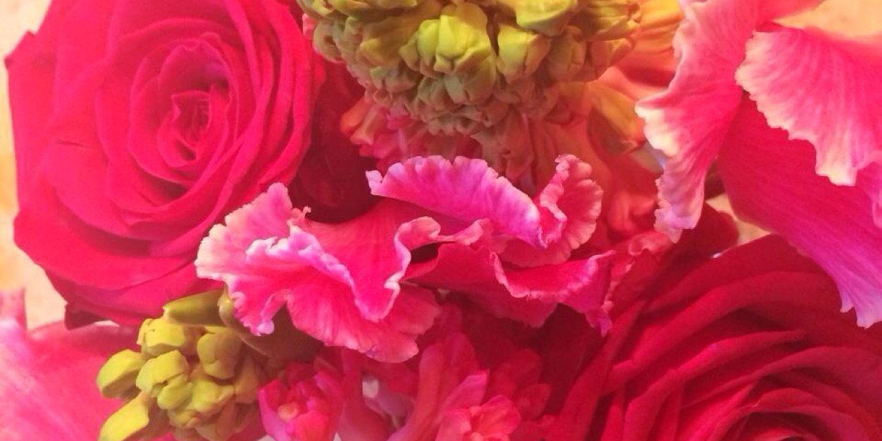 quellaeffeci's profile banner image