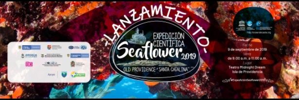SeaflowerCCO's profile banner image