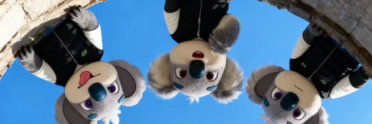 Llona ✨ 🐬TermMax banner