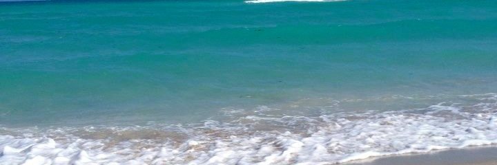 AllyZimmermann's profile banner image