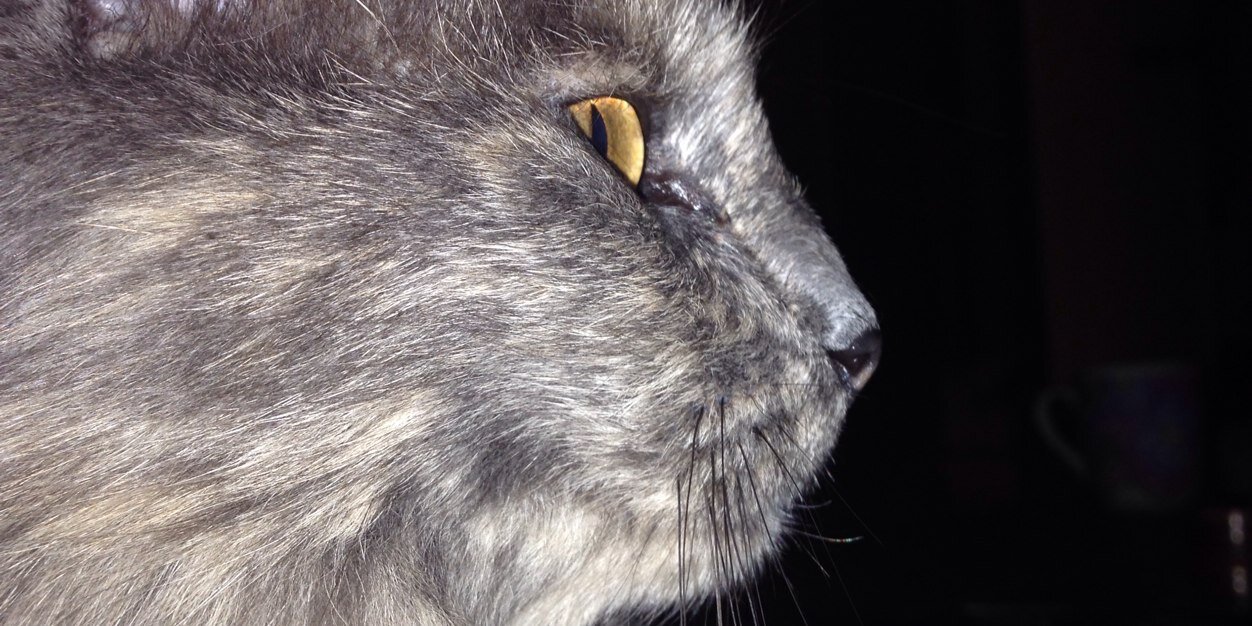 taylor3139's profile banner image