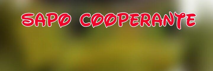 frogCooperante's profile banner image