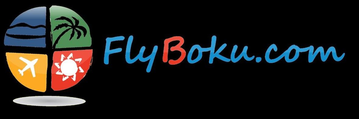 FlyBoku's profile banner image