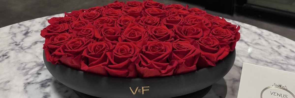 𝒟𝓇. 𝒟 ♕ banner