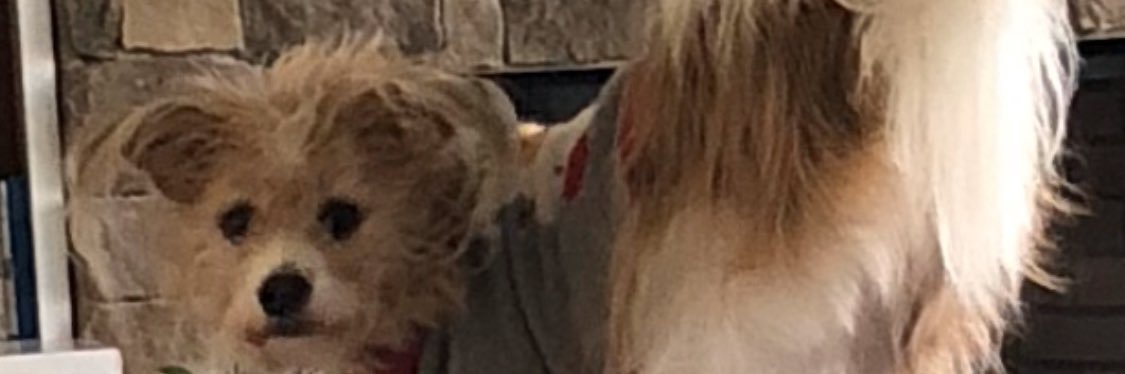 Nappy_Snitter's profile banner image