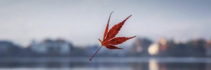 mikechris74's profile banner image