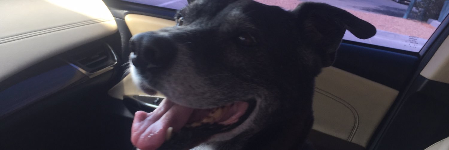 Christine frankewich banner