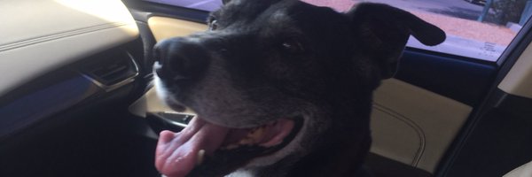 CFrankewich Profile Banner